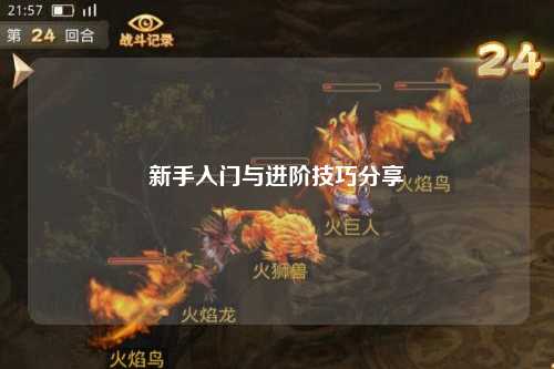 新手入门与进阶技巧分享