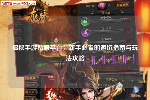 揭秘手游私服平台，新手必看的避坑指南与玩法攻略
