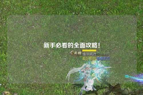 新手必看的全面攻略！